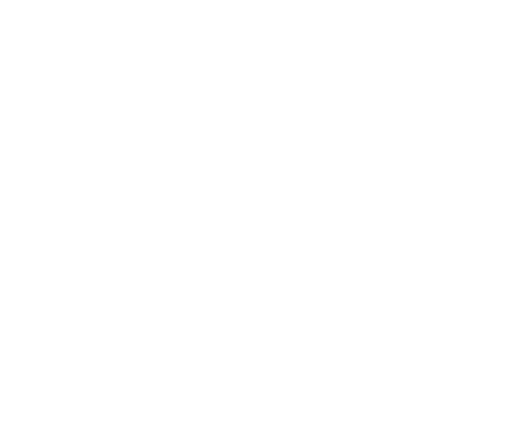 yelsa-png